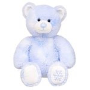 Winter Teddy Bear