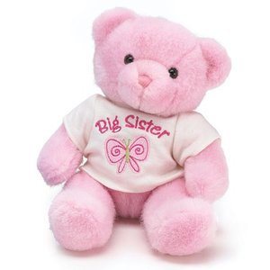 Big Sister Plush Bear