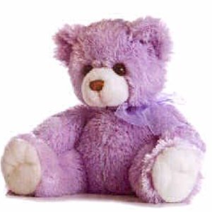Levander Teddy Bear