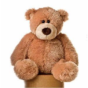 Aurora Plush Bongo Bear