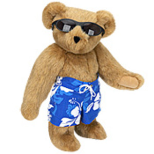 Surfing Bear