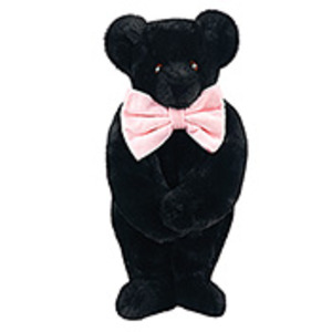Black Teddy Bear
