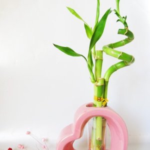 Ceramic Heart Vase