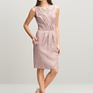 Business Woman Dress