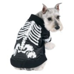 Häftig skelett-dräkt för hunden