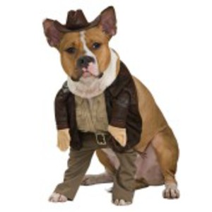 Tuff, officiell Indiana Jones-dräkt för hunden