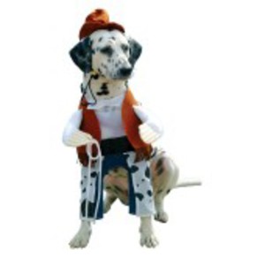 Extremt tuff cowboy-dräkt för hunden