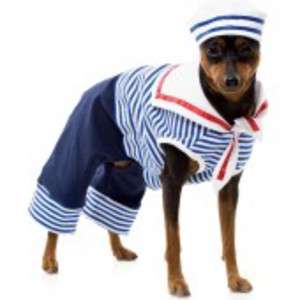 Dundesöt sailor-dräkt för hunden