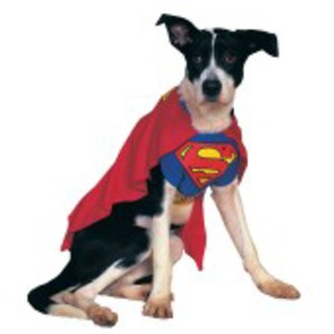 Officiell, häftig Stålmannen-dräkt för hunden