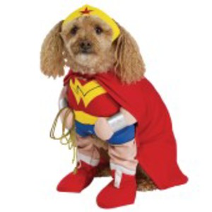 Häftig Wonder Woman-dräkt för hunden