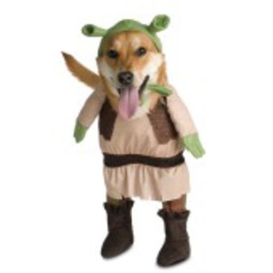 Häftig Shrek-dräkt för hunden