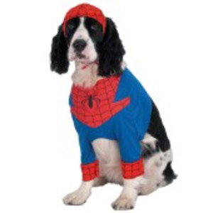 Tuff, officiell Spindelmannen-dräkt för hunden