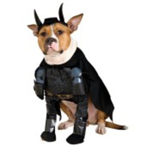 Tuff Batman-dräkt för hunden