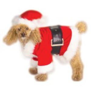 Söt tomte-dräkt för hunden