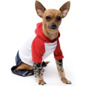 Tatuerad hund-dräkt
