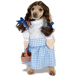 Dorothy från Trollkarlen från Oz (hundkostym)